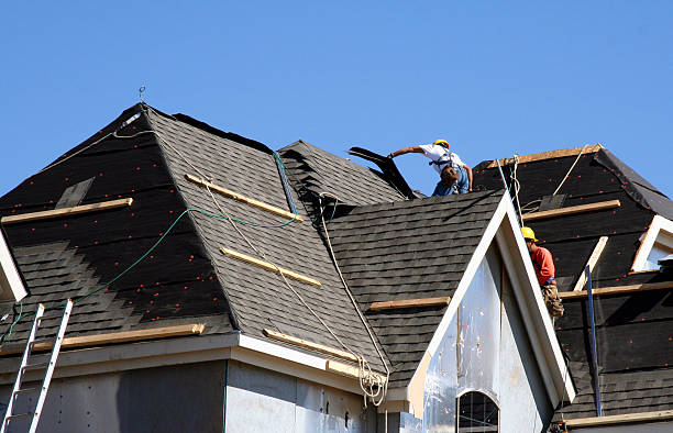 Best Storm Damage Roof Repair  in Vevay, IN