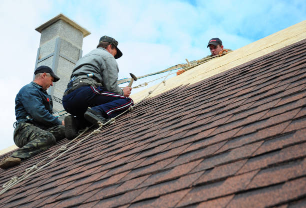 Best Best Roofing Contractors  in Vevay, IN
